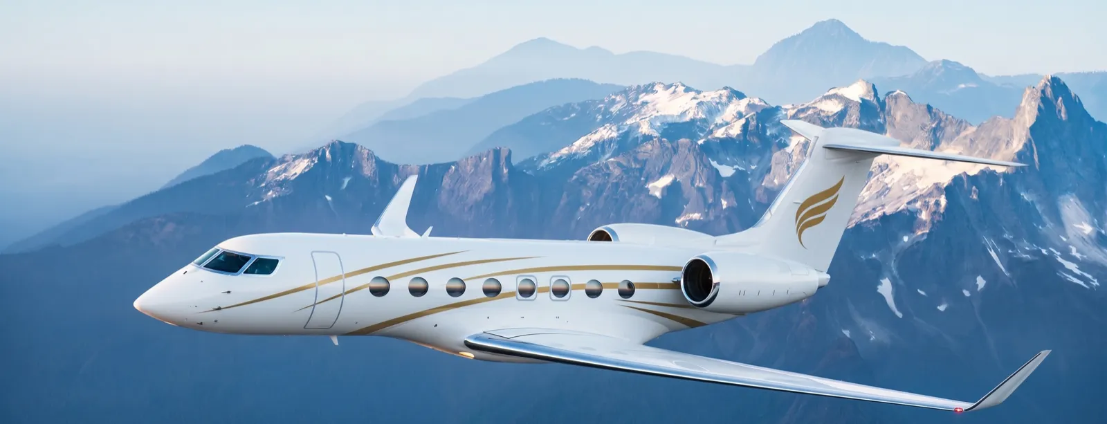 Luxury Private Jet
